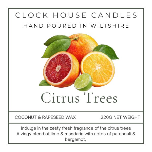 Citrus Trees Candle