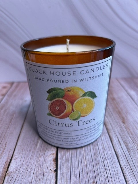 Citrus Trees Candle
