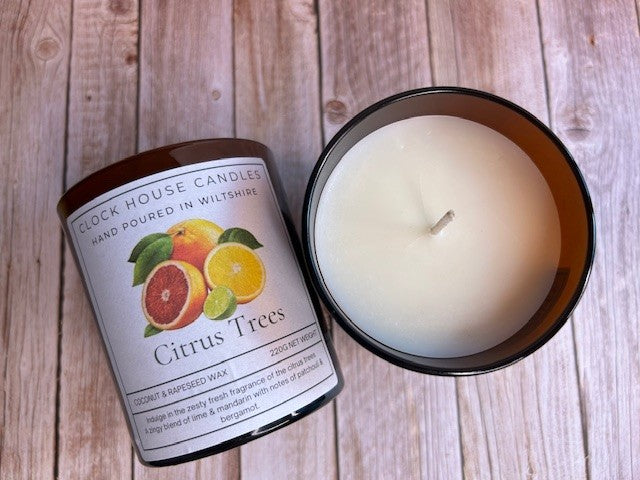 Citrus Trees Candle